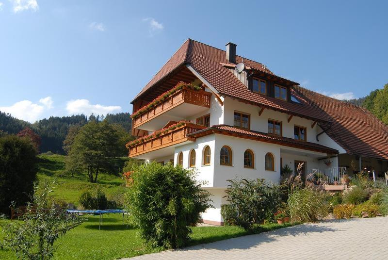 Wehrlemartinshof Apartment Simonswald Exterior foto
